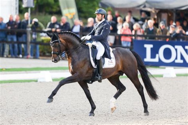 Paul Schockemöhle Fortune